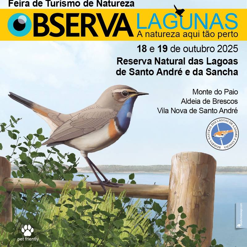 Observa lagunas 2025