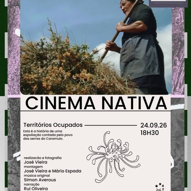 Cinema nativa apresenta: "Territórios Ocupados"