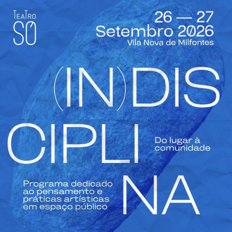 (In)disciplina
