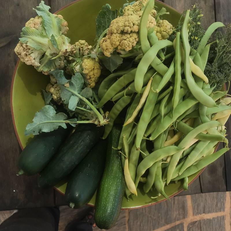 Permaculture Design Course with Kyle