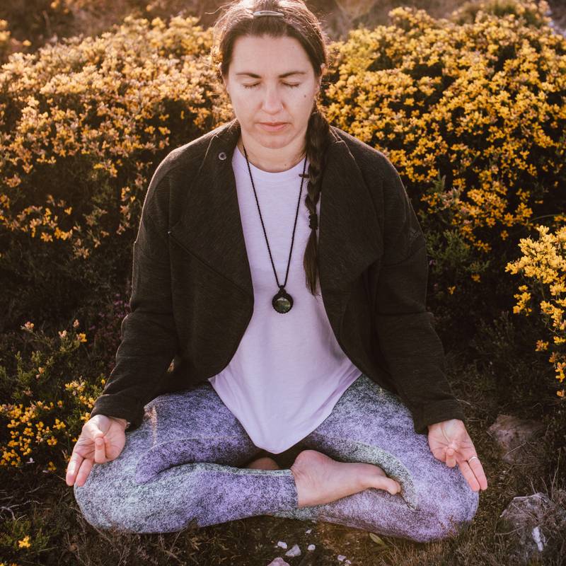 Kriya do Himalaia, Kundalini e Meditação