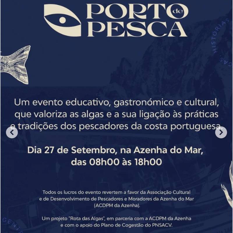 O Porto de Pesca na Azenha do Mar
