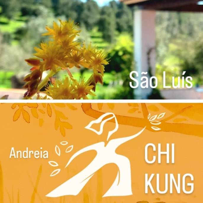 CHI KUNG QiQong