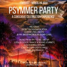 Psymmer Party