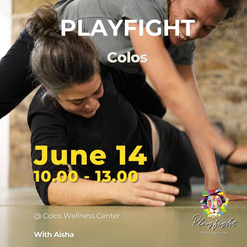 Playfight - colos