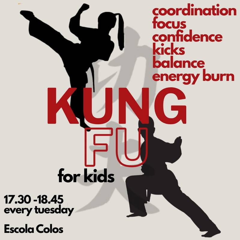 Kung Fu para crianças