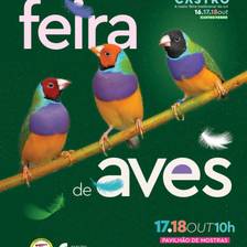 Feira de Castro 2026 / feira de aves