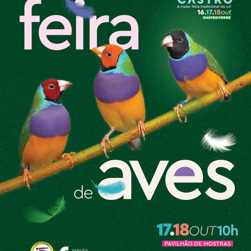 Feira de Castro 2026 / feira de aves