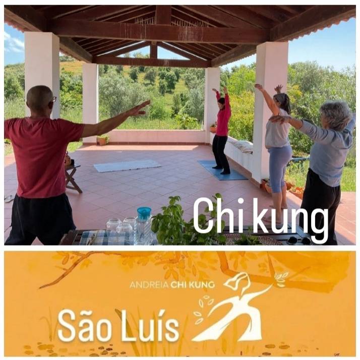 Chi Kung QiGong