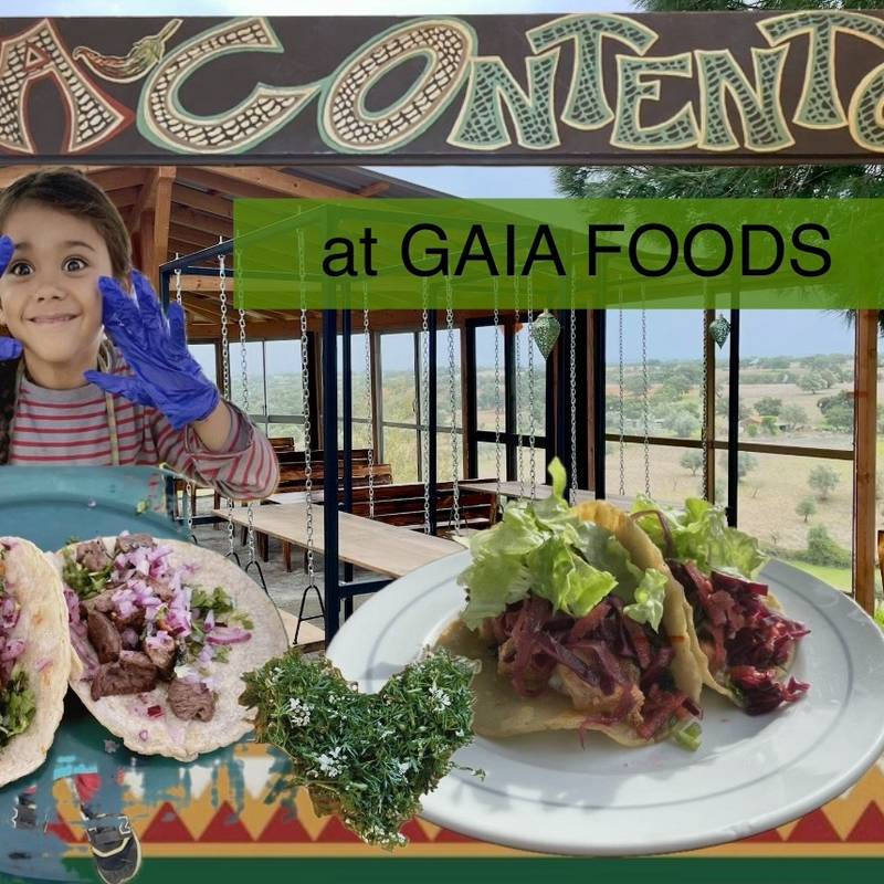 (((( Terça-feira do Taco ))))