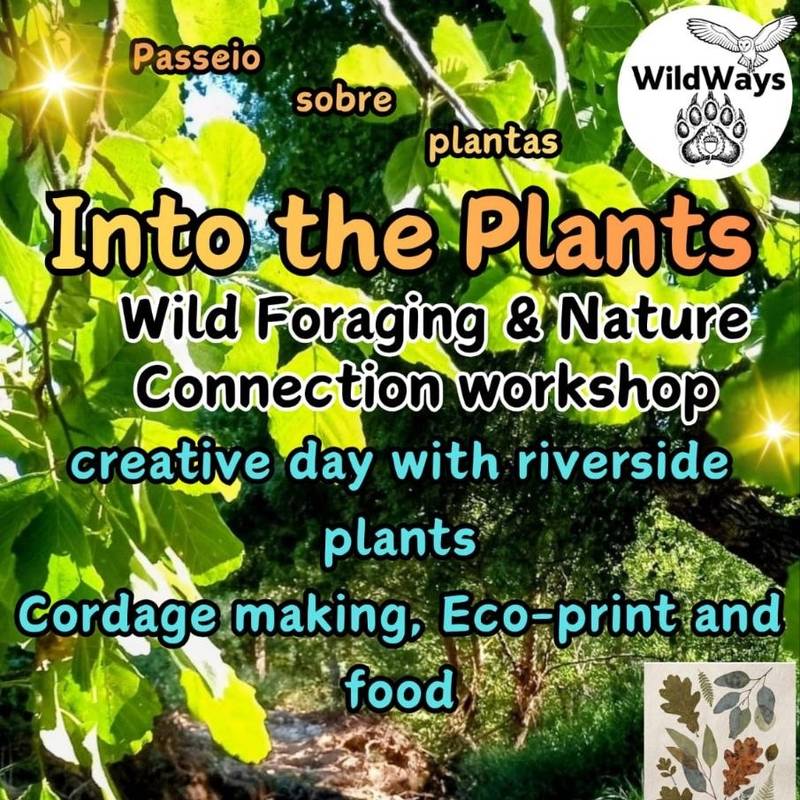 À descoberta das plantas