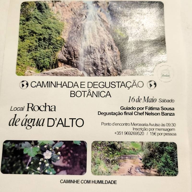 Caminhada e Degustação I