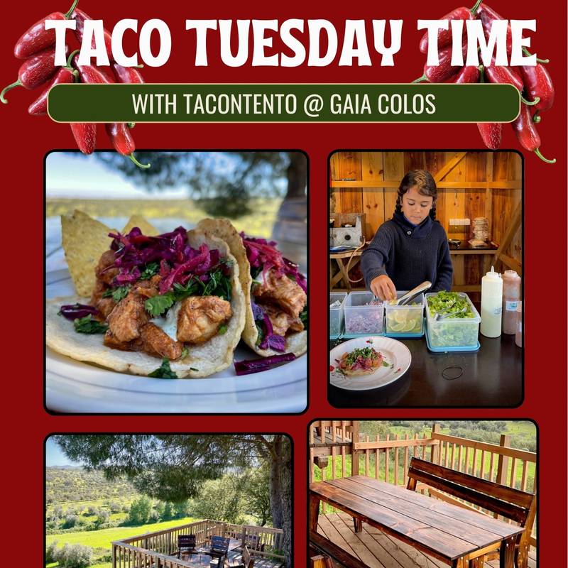 TERÇA-FEIRA DE TACOS!
