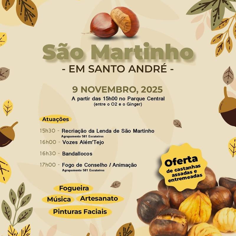 Festa de São Martinho