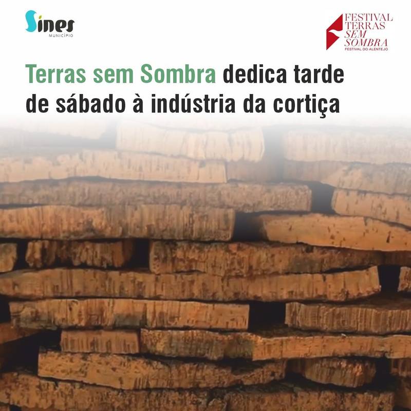 Festival Terras sem Sombra