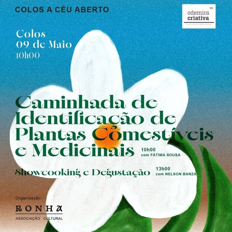 Colos a Céu Aberto