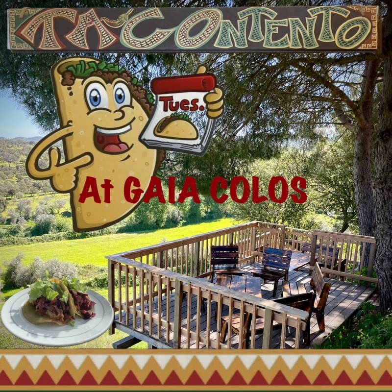 (((( TERÇA-FEIRA DE TACOS ))))