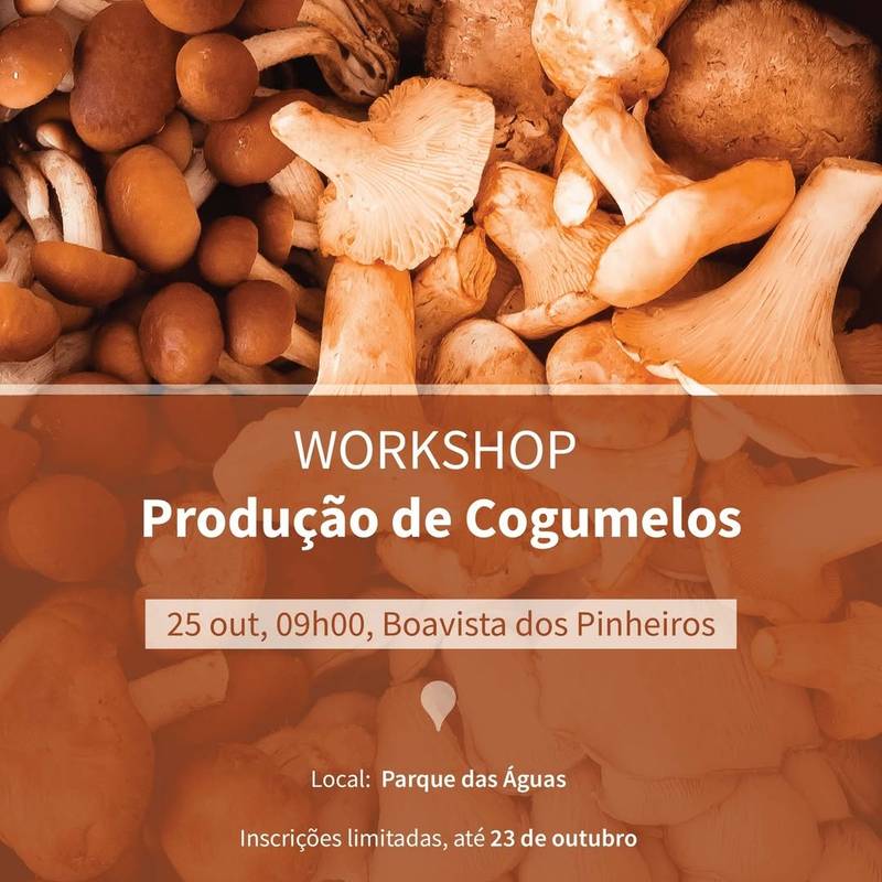 Workshop de Produção de Cogumelos