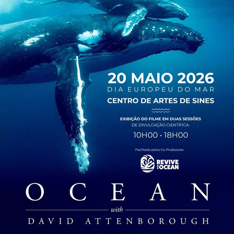 Documentário "Ocean with David Attenborough"