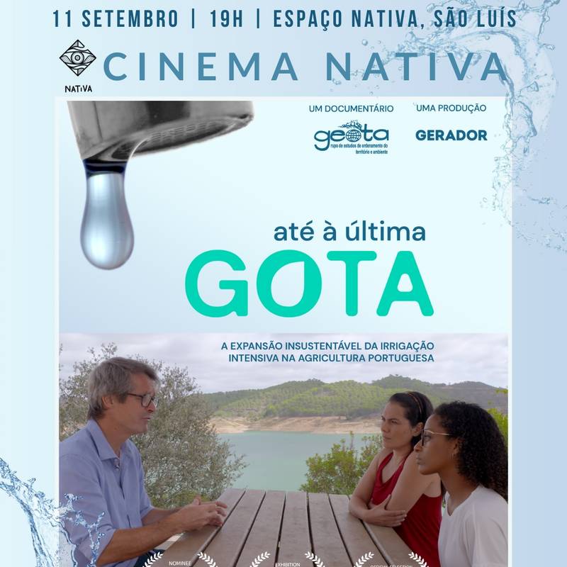 Cinema Nativa