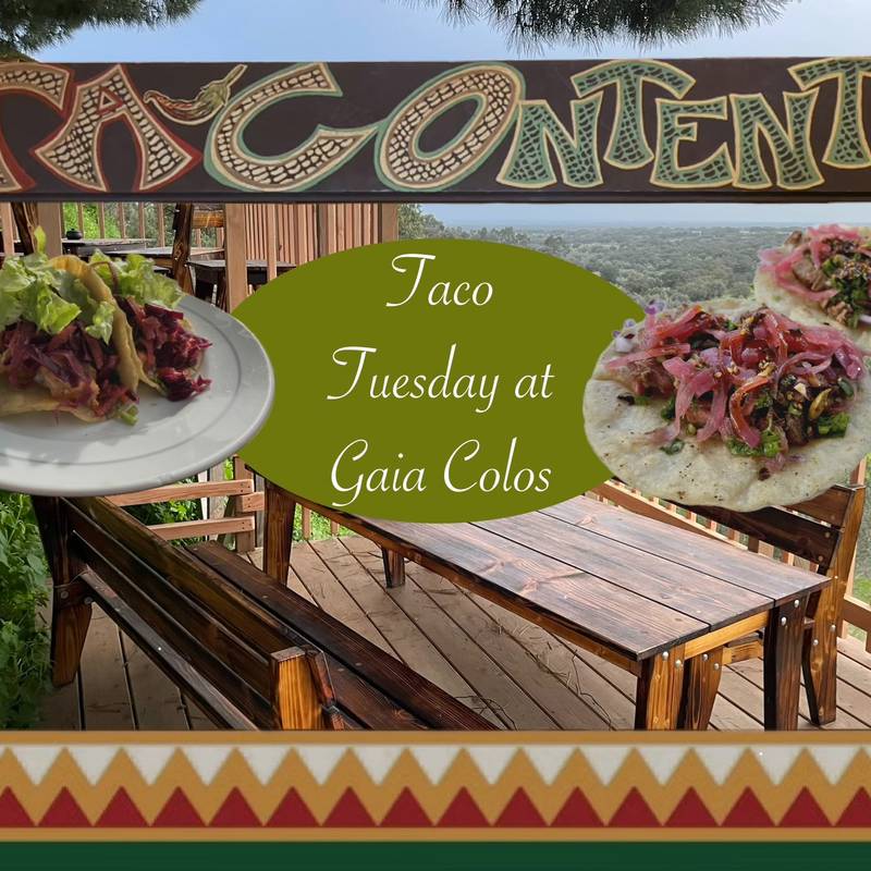 ((((Terça-feira de Tacos))))