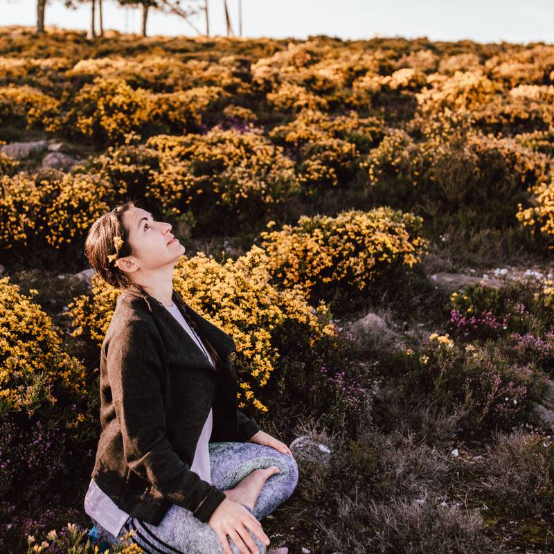 Viagem de Yoga ao Himalaia