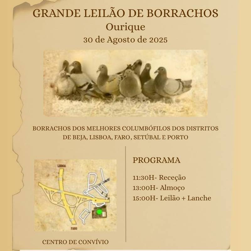 Grande Leilão de Borrachos