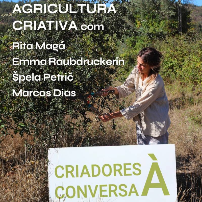 Criadores à Conversa