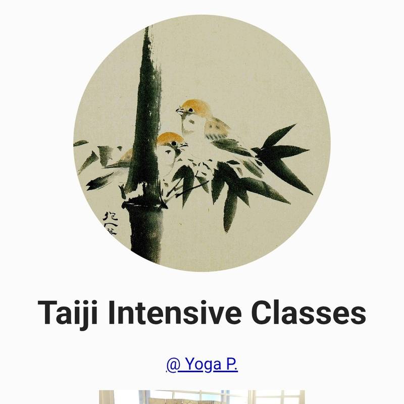 Aulas intensivas de Taijiquan