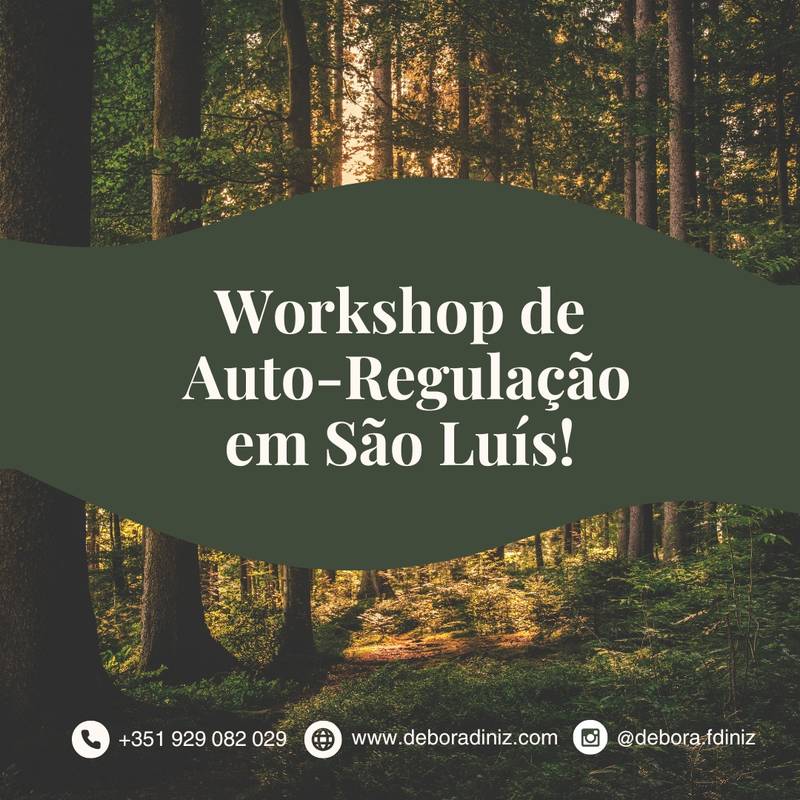 Workshop de Auto-Regulação