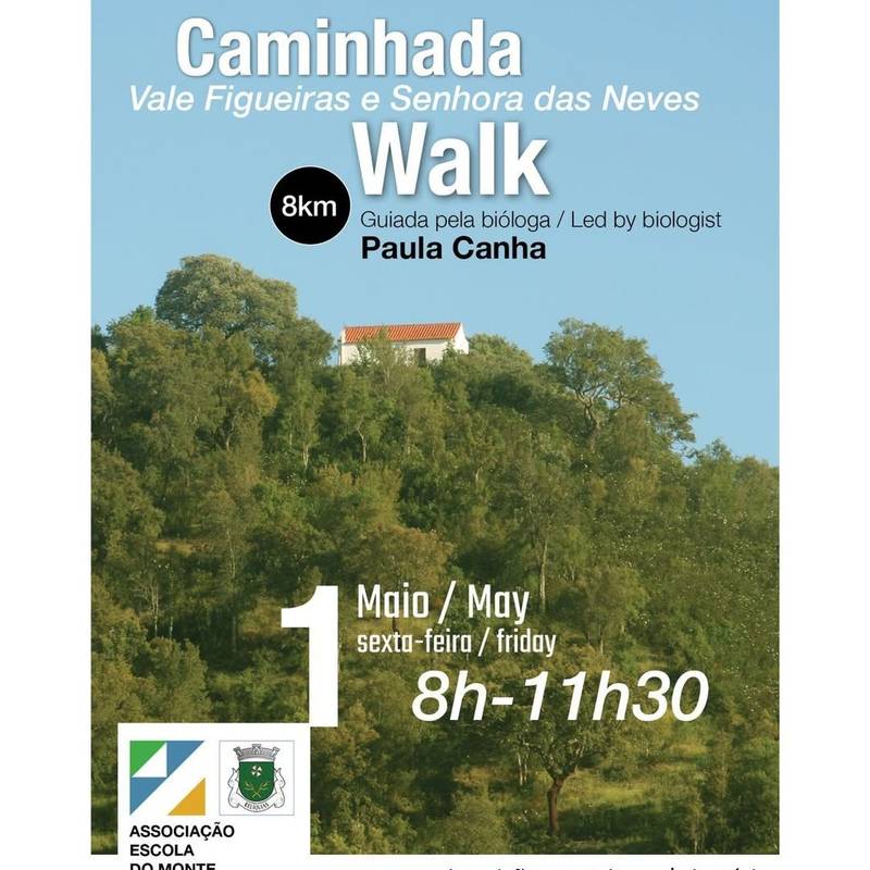 Caminhada Vale Figueiras e Senhora das Neves