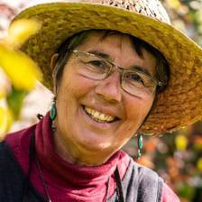 Workshop 'Plantas do Mundo', por Fernanda Botelho