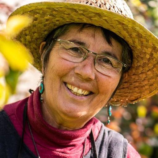 Workshop 'Plantas do Mundo', por Fernanda Botelho