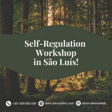Workshop sobre autorregulação