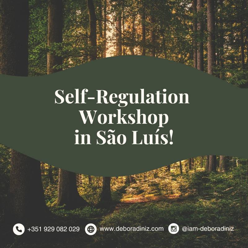 Workshop sobre autorregulação