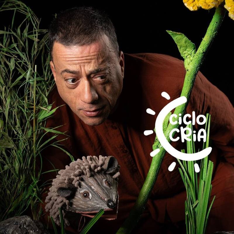 Ciclo cria 2026