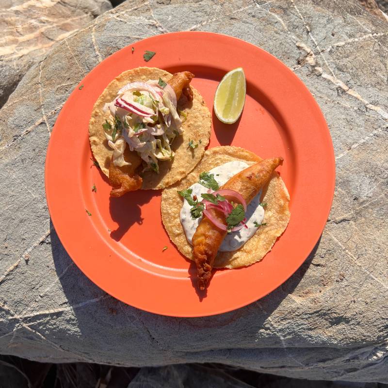 Tacos + Margaritas + Latin Vibes