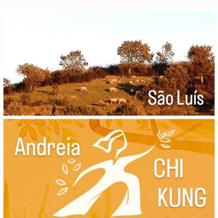 CHI KUNG