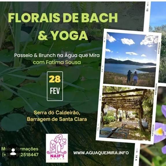Yoga e florais de bach