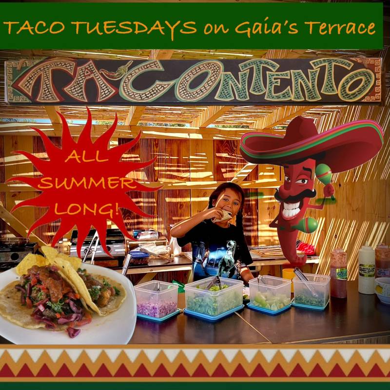 ((((TERÇA-FEIRA DOS TACOS))))