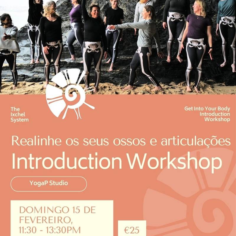 Introduction Workshop - Ixchel System®