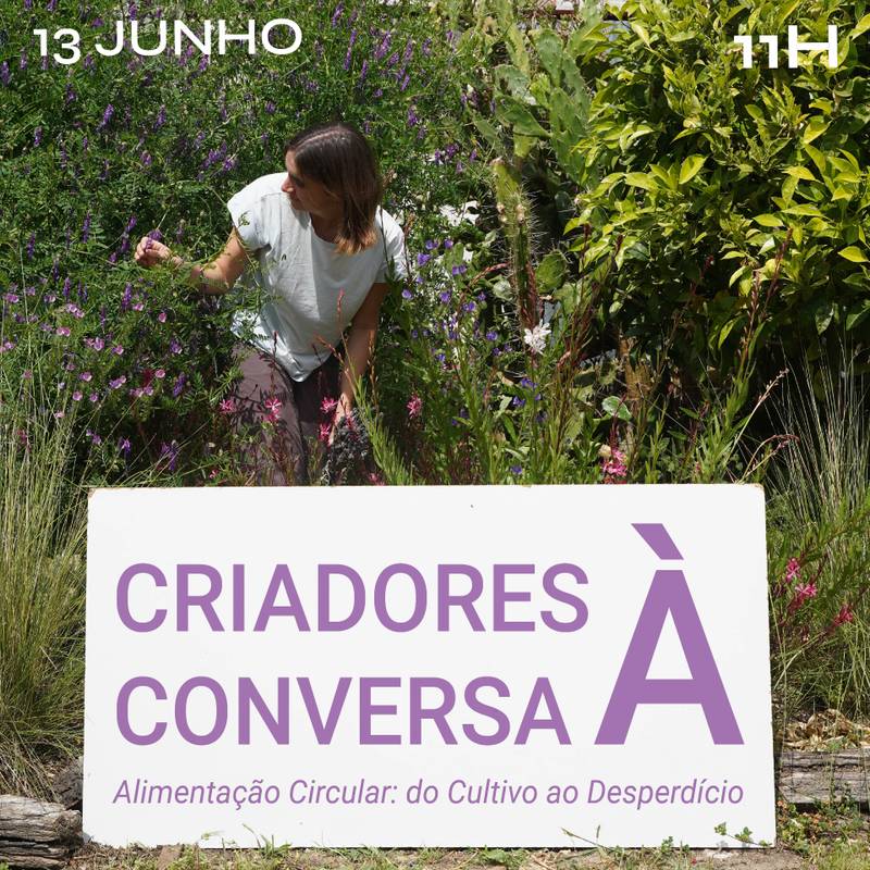 Criadores à Conversa