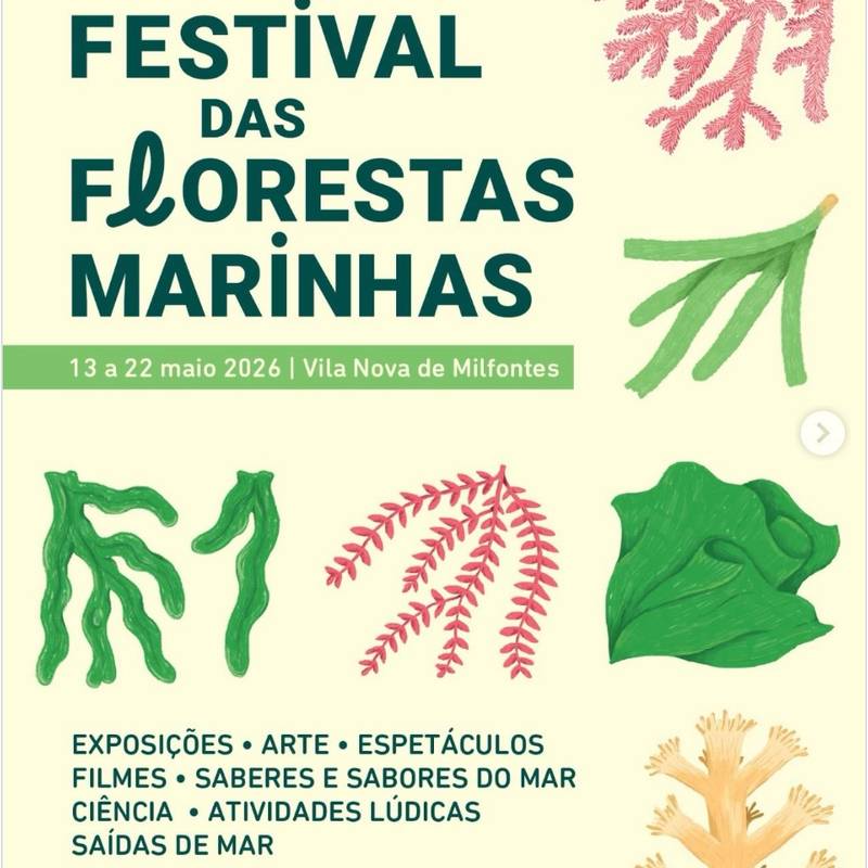 Festival das Florestas Marinhas