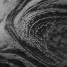 O que a terra guarda — Exposição Coletiva
