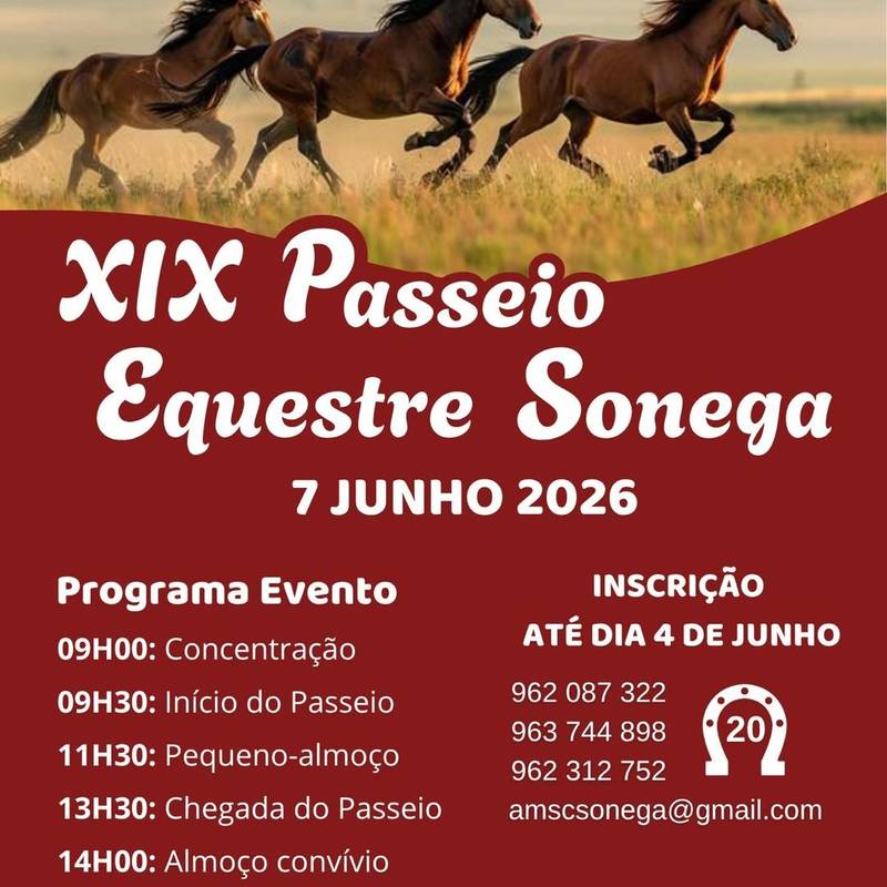 Passeio equestre - sonega