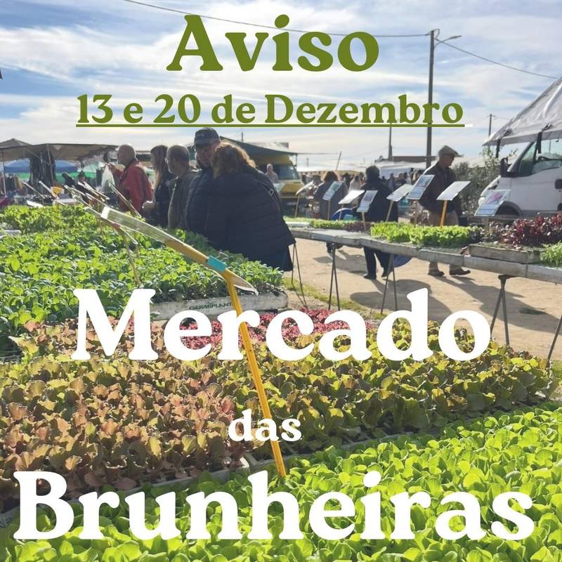 Feira das Brunheiras