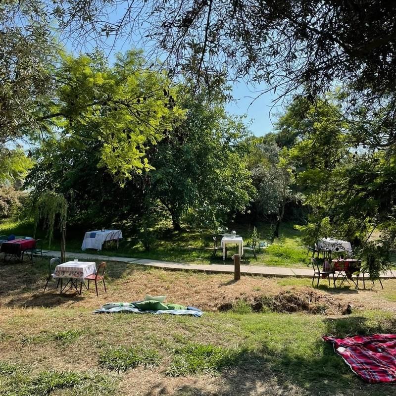 Frango assado no jardim da Matinha