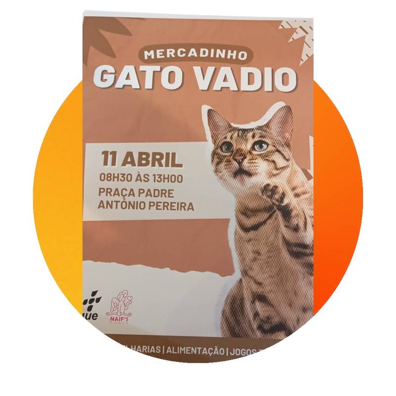 Mercadinho do Gato vadio