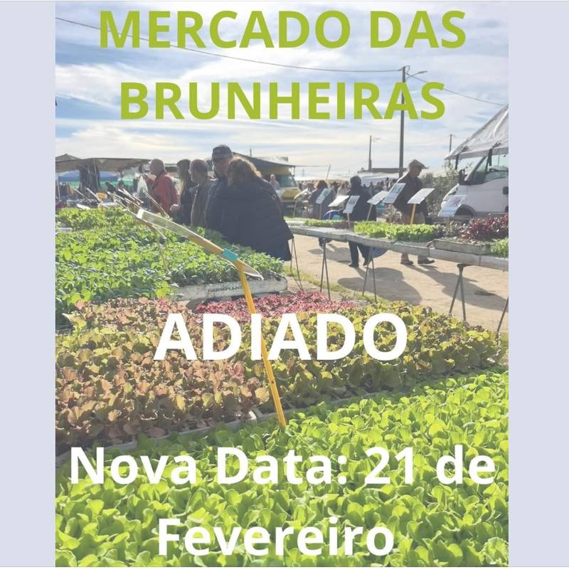 Feira das Brunheiras