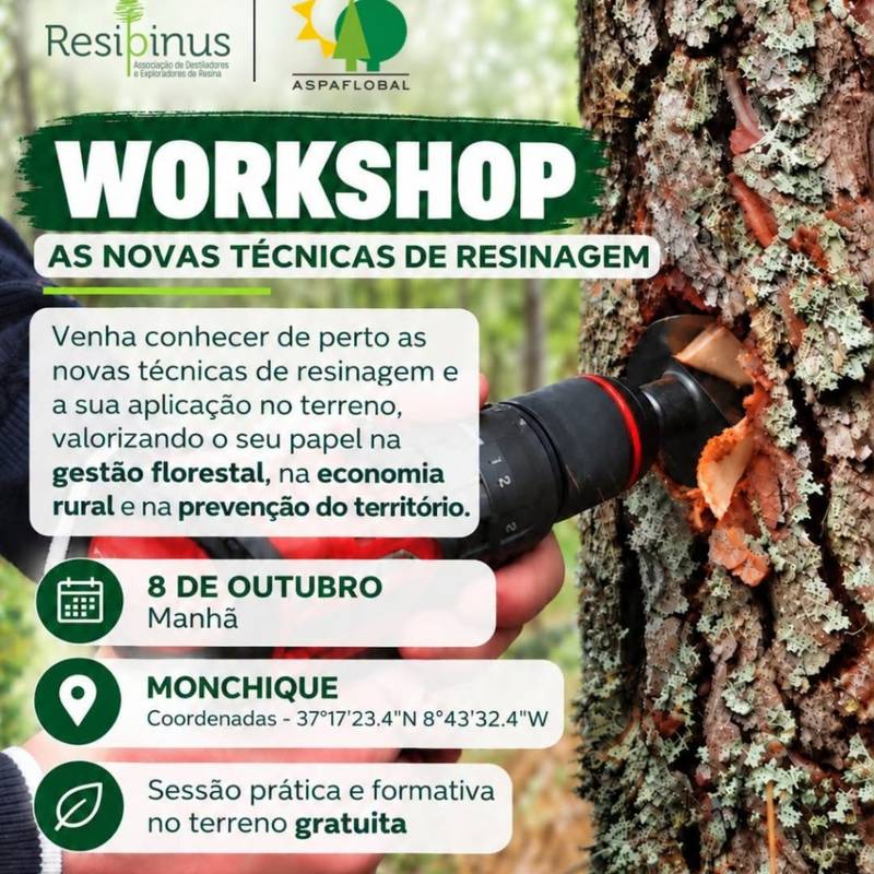 Workshop "As novas técnicas de Resinagem"